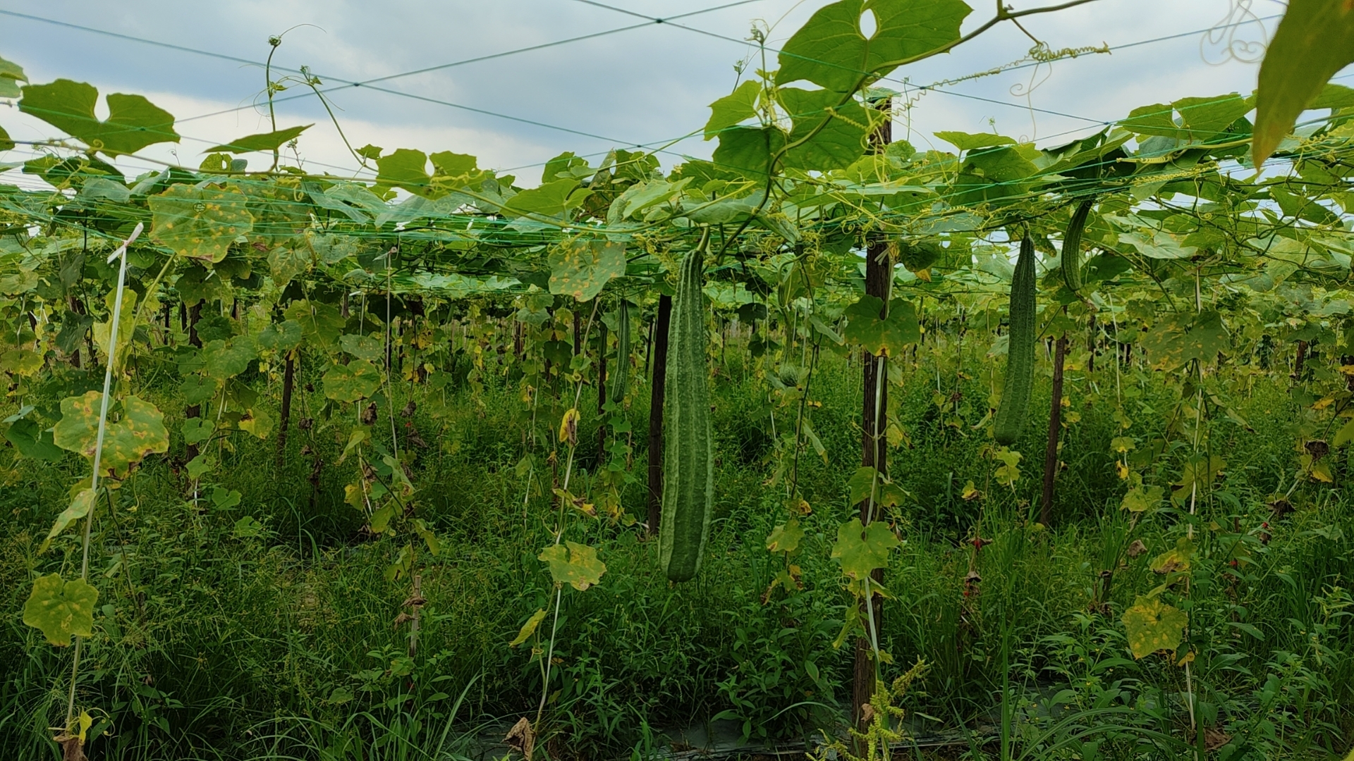 澳门太阳集团城welcome(中国)有限公司官网